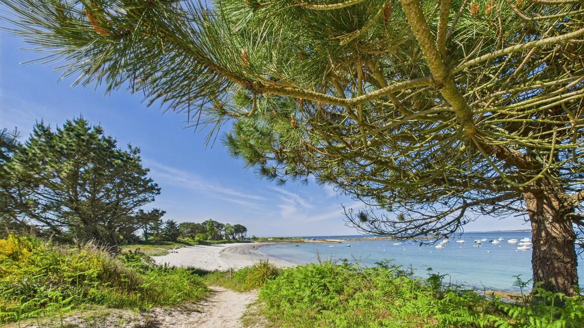 Σπίτι διακοπών Mery Maison Familiale Les Pieds Dans L Eau Trégunc